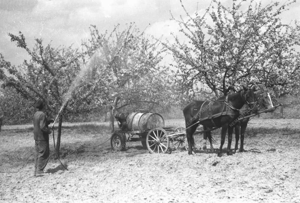 Mezőgazdaság - Kártevők elleni védekezés Szabolcsban