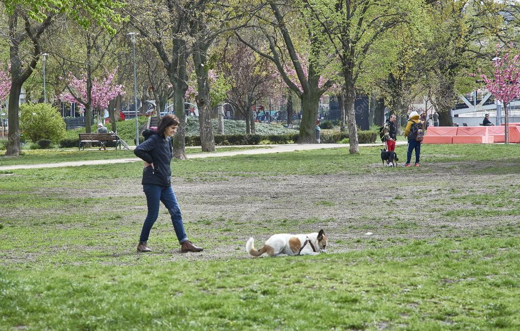 Városkép - Budapest - Nehru part közpark