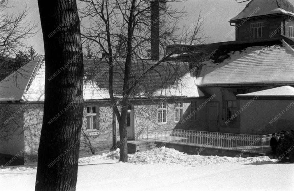 Egészségügy - Gyermekotthonok