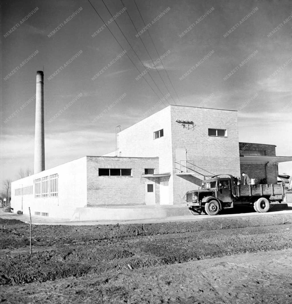 Mezőgazdaság - Bácsbokodi tejüzem