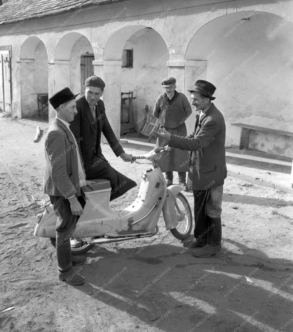 Mezőgazdaság - A veszkényi Rákóczi Tsz