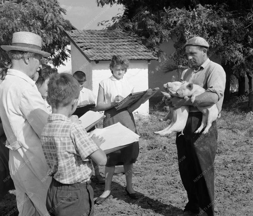 Szabadidő - Túrkevei Vörös Csillag Termelőszövetkezet