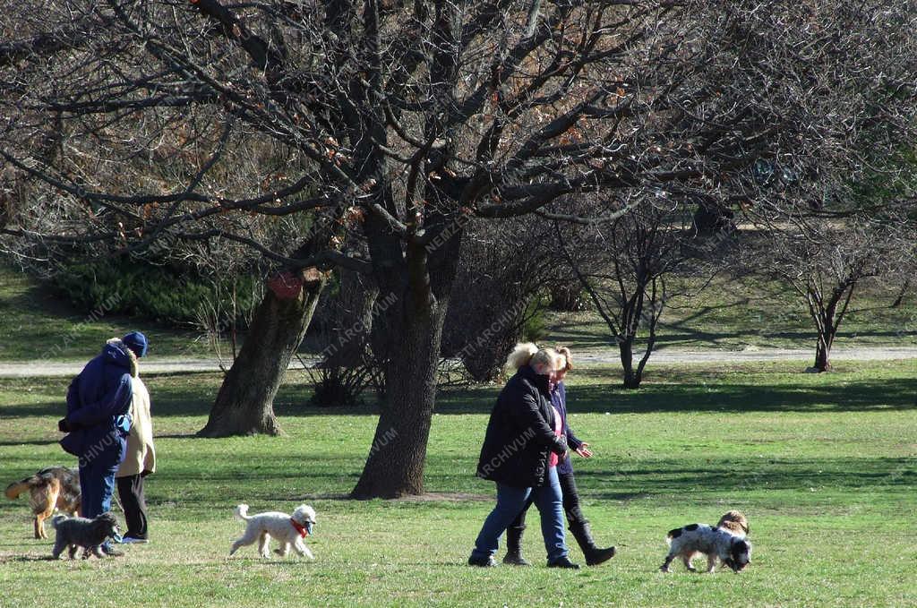 Városkép - Budapest - Koratavasz a közparkban