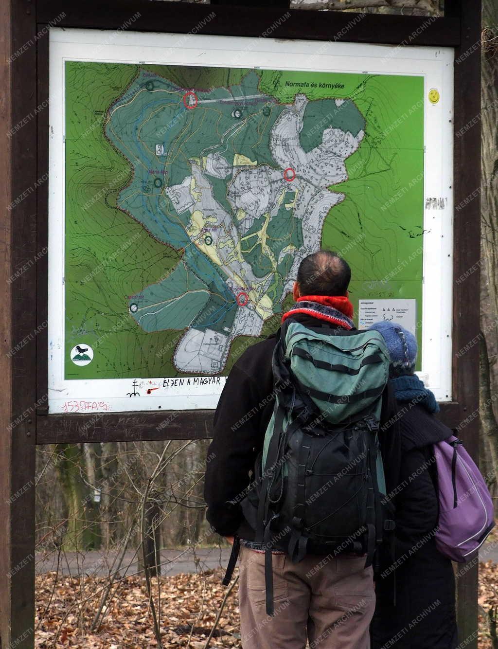 Turizmus -Budapest - Turisták a Normafánál
