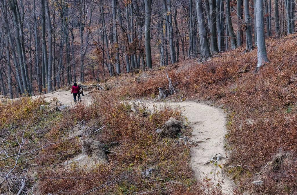 Természet - Szilvásvárad - Szalajka-völgy 