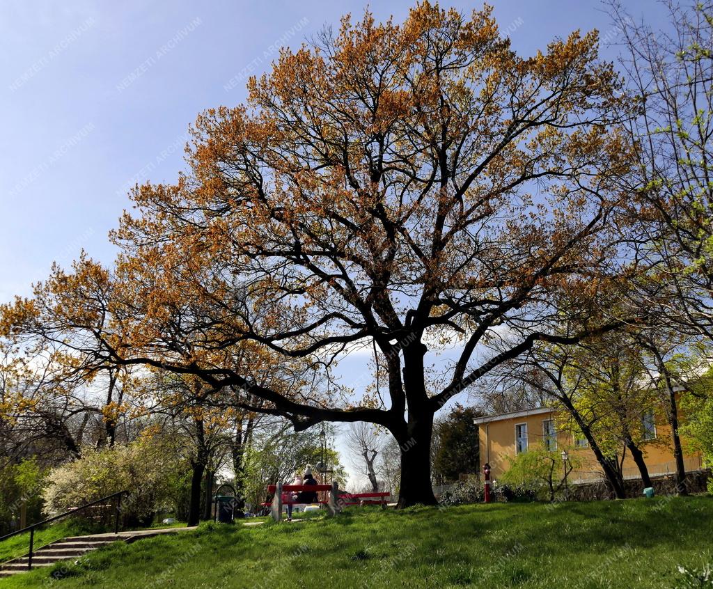Városkép - Budapest - Tabán park