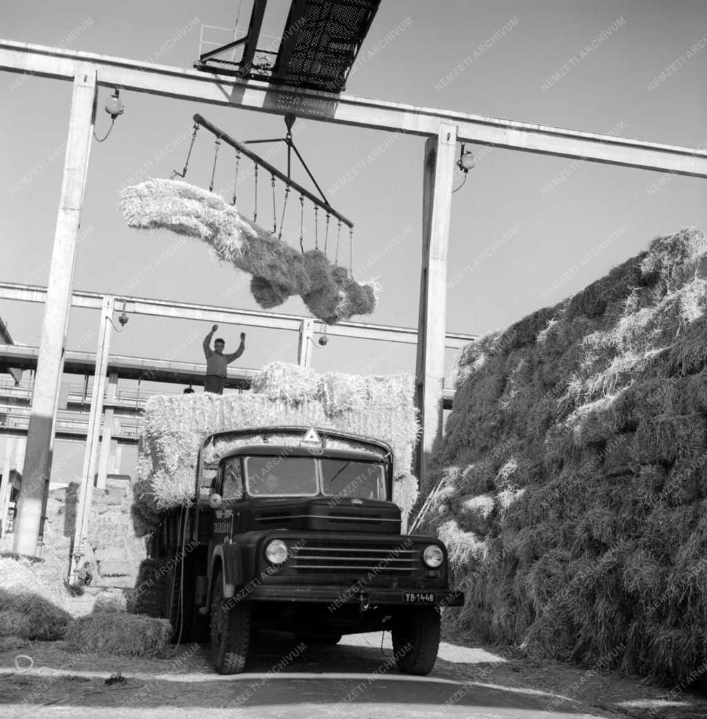 Ipar - Dunai Szalmacellulózgyár