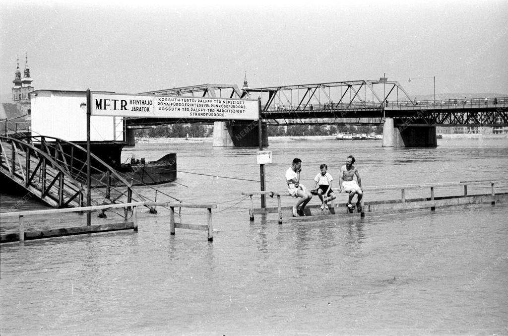 Környezet - Árad a Duna