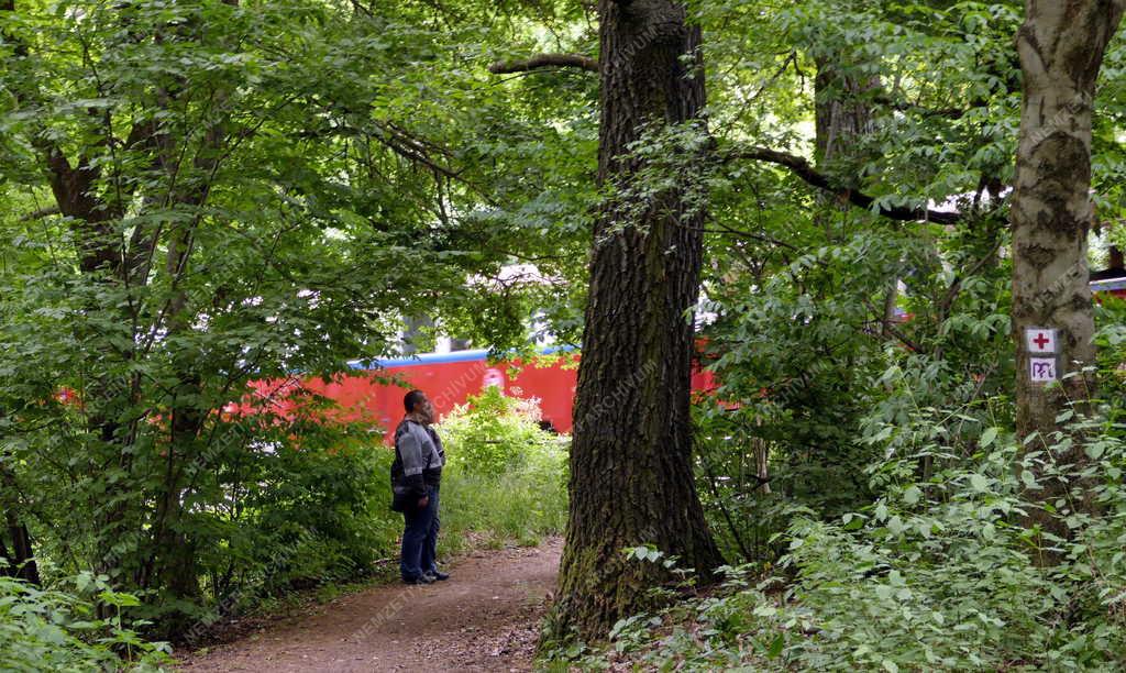 Közlekedés - Szórakozás - Budapesti Gyermekvasút