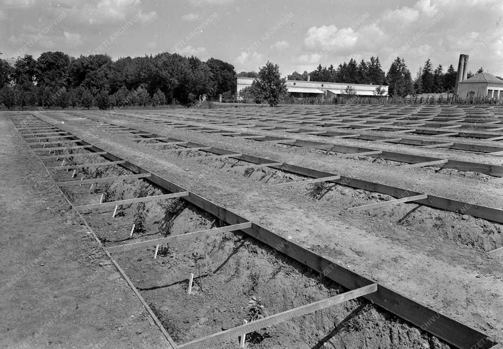 Tudomány - Mezőgazdasági kísérletek 