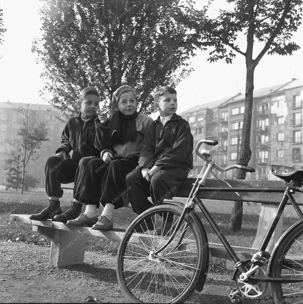 Személy - Zene - Perényi Miklós 