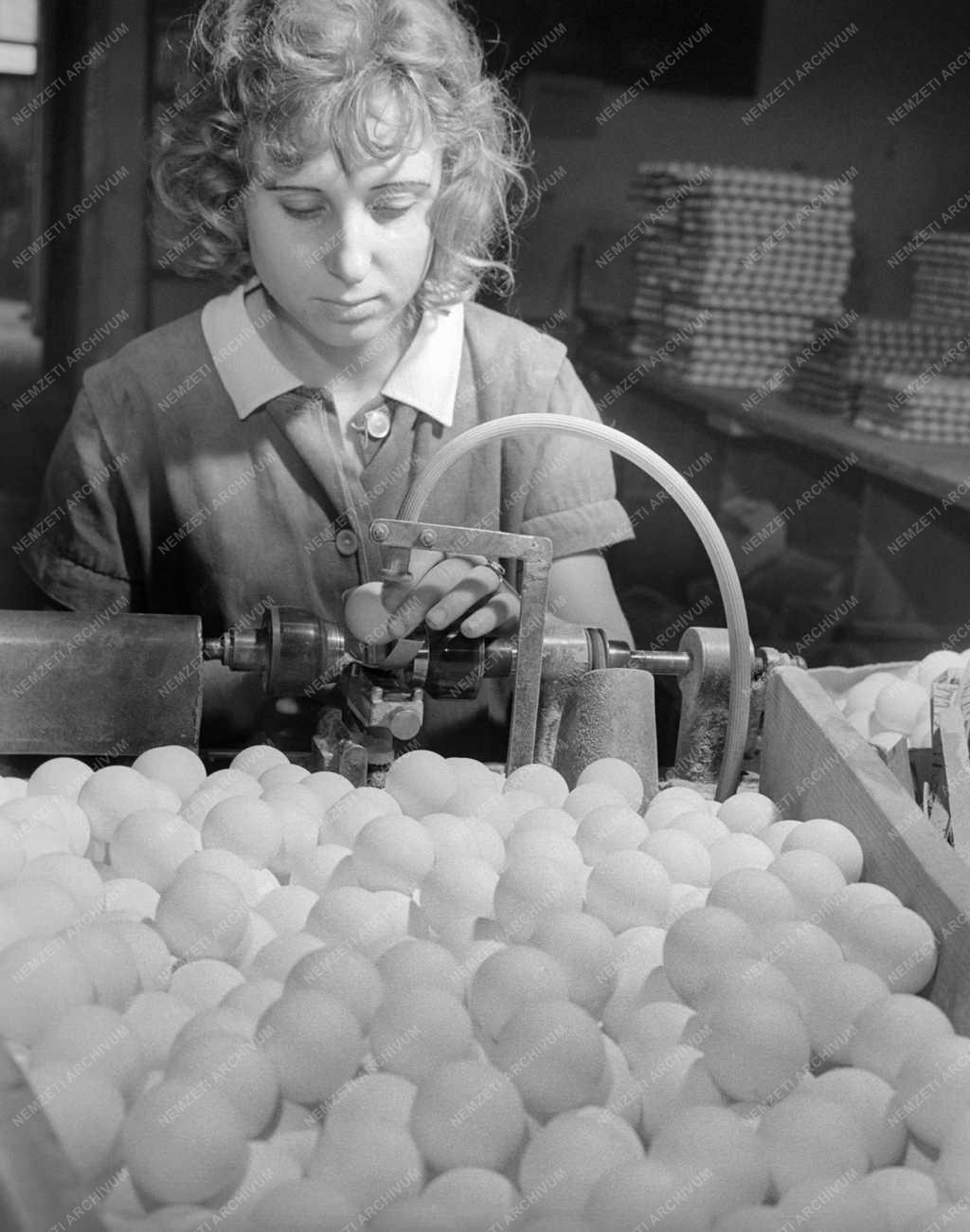 Ipar - Ping-pong labdát gyárt a Mosonmagyaróvári Fogkefegyár 
