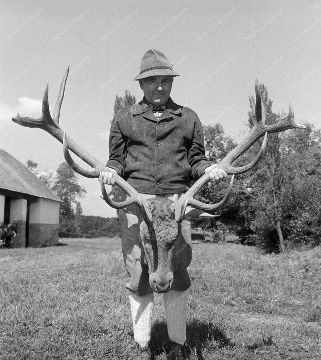 Vadászat - Pécsmecseki Állami Erdőgazdaság