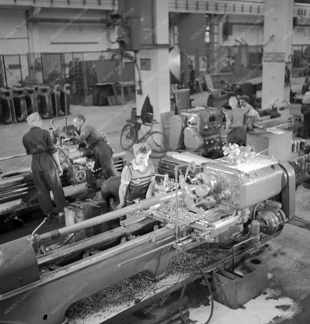 Ipar - Jászberényi Aprítógépgyár