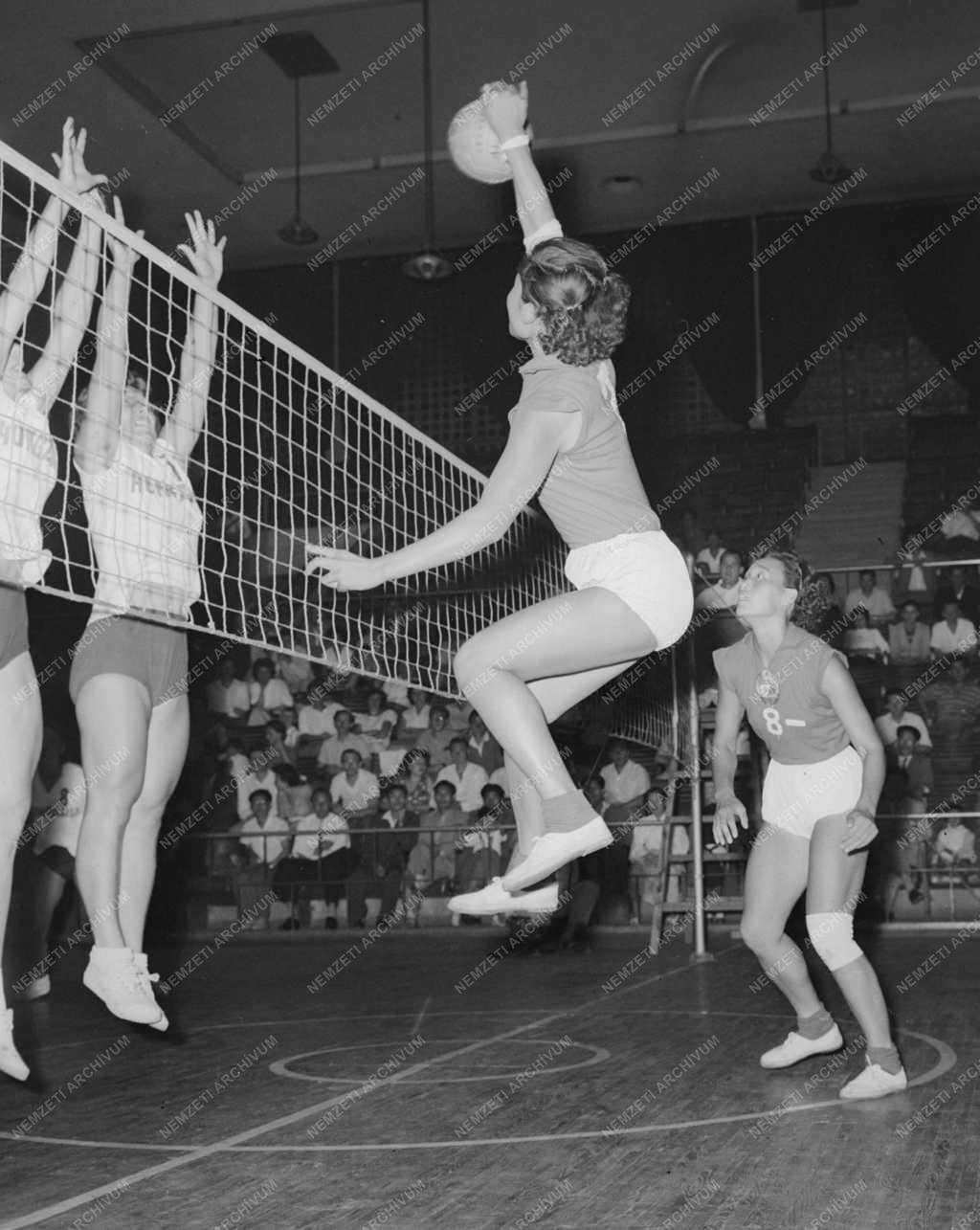 Sport - Röplabda - Magyarország - Észak-Korea