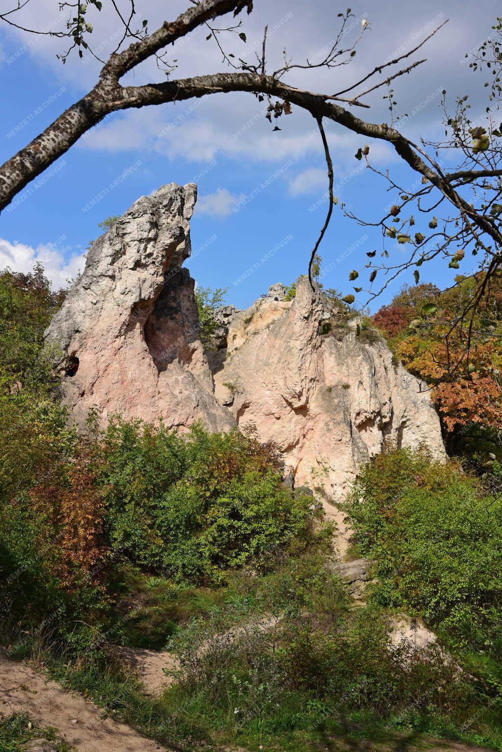 Tájkép - Természet - Teve-szikla Pilisborosjenőnél