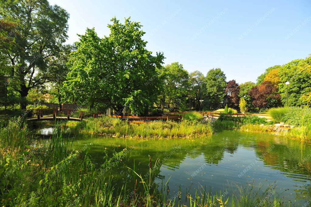 Gyöngyös - Kastélykert