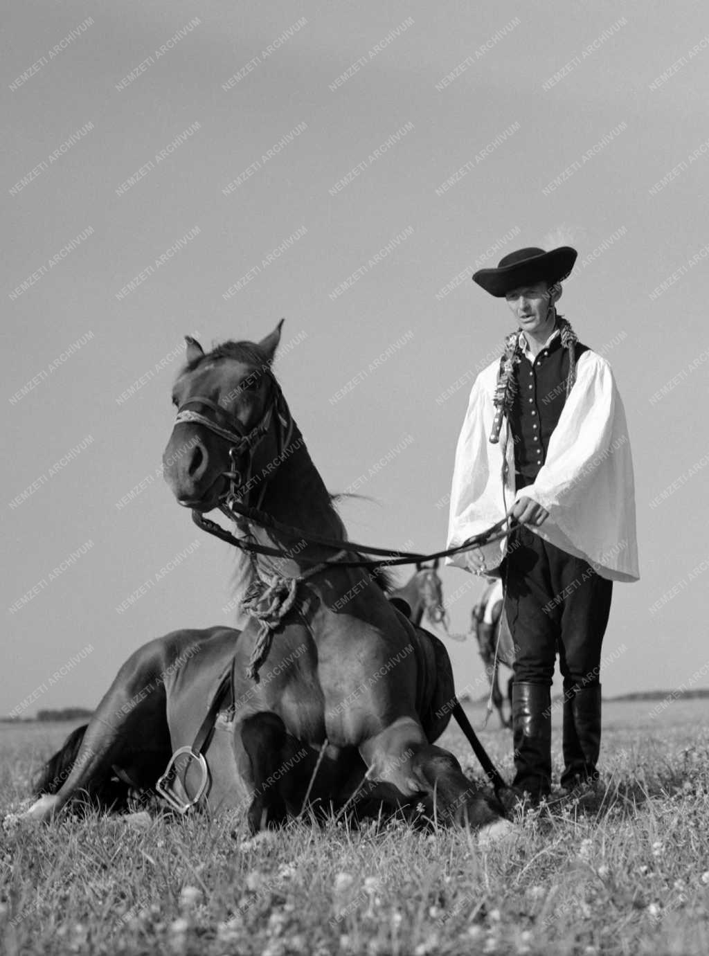 Mezőgazdaság - Csikós Mezőhegyesen