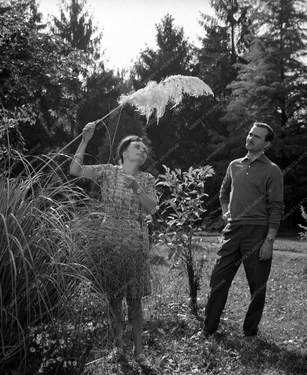 Természetvédelem - Szegedi József Attila Tudományegyetem Botanikus Kertje