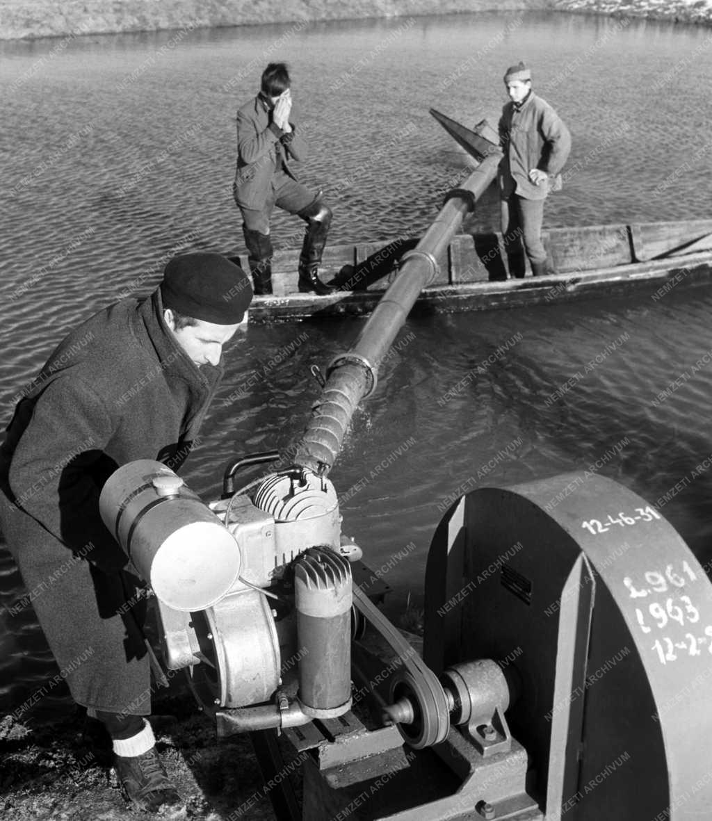 Halászat - Kísérletek a víz oxigénhiányának megszüntetésére