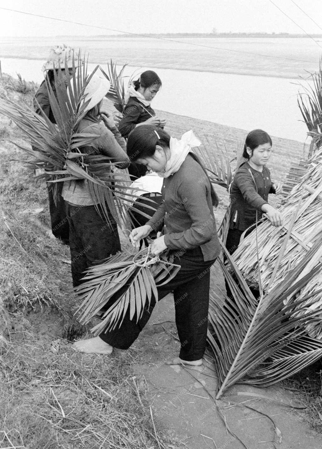 Vietnami háború - Milicista egységek