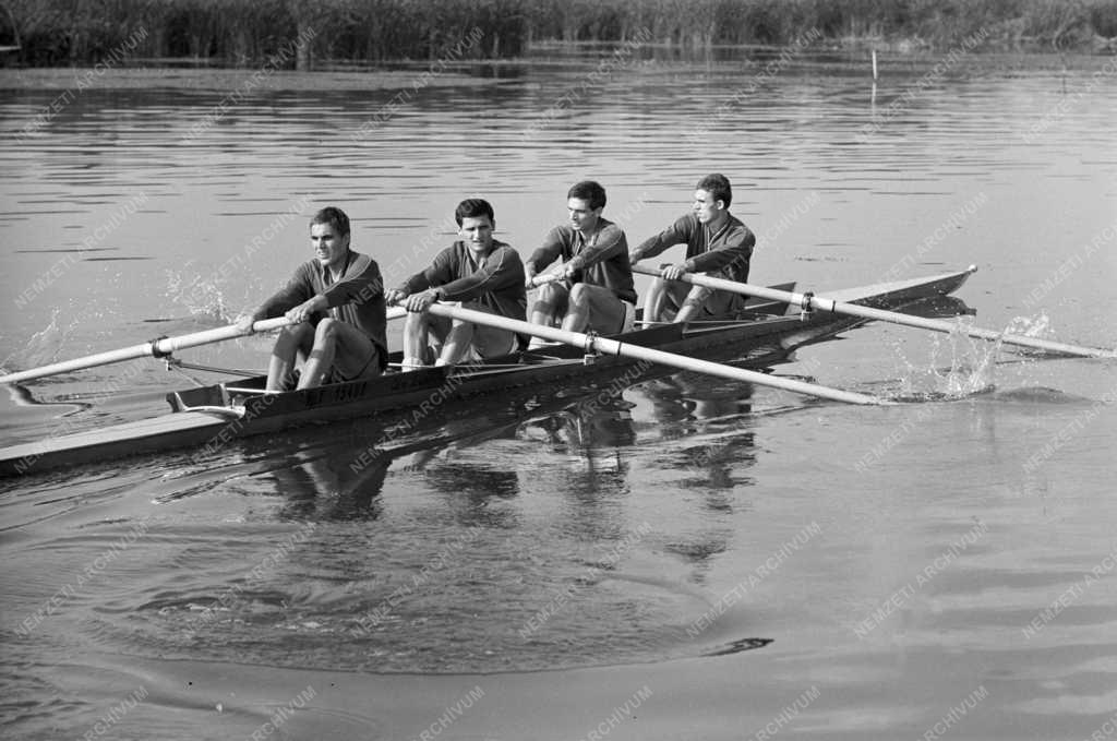 Sport - Evezős olimpiai válogatott edzése