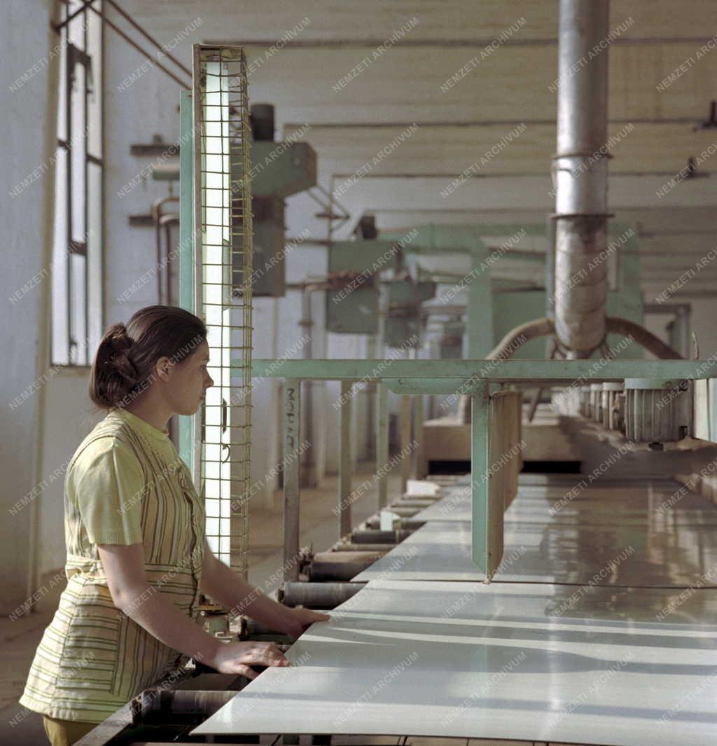 Ipar - Mohácsi Farostlemezgyár lakkozóüzeme