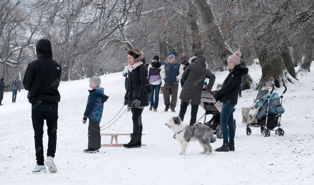 Szabadidő - Budapest - Tél a Normafánál