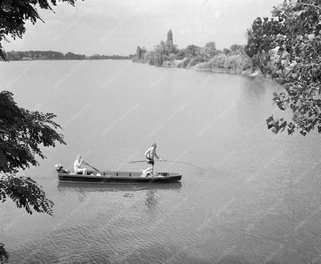 Szabadidő - Horgászok a Duna mellékágában