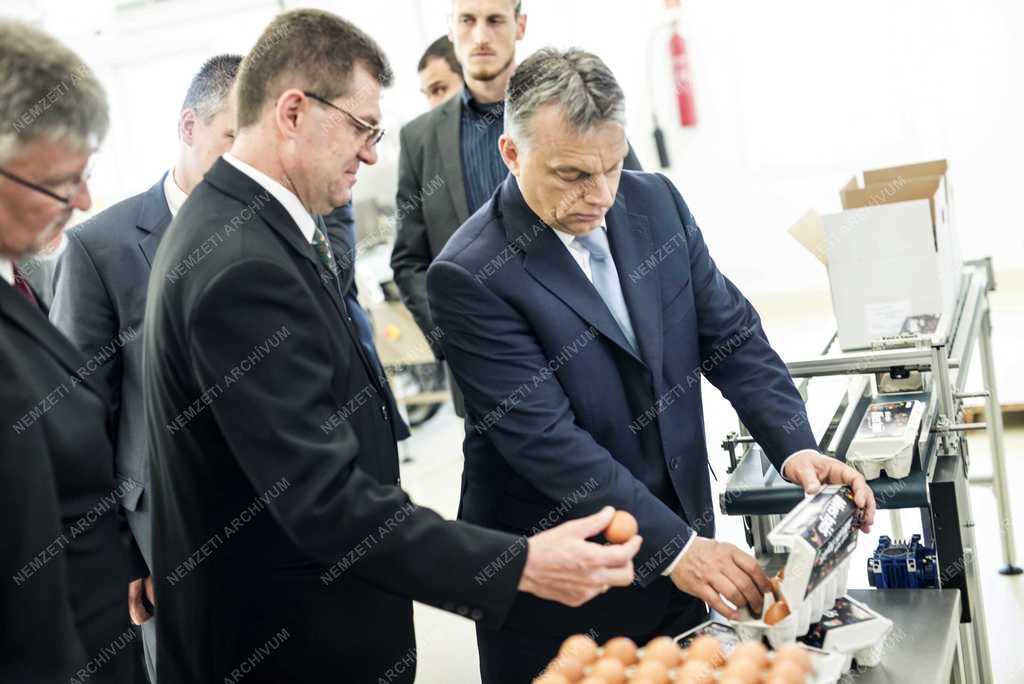 Baromfitelepet és tojáscsomagoló üzemet adtak át Lajosmizsén