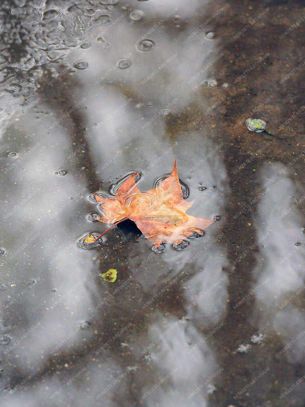 Időjárás - Debrecen - Esős ősz 