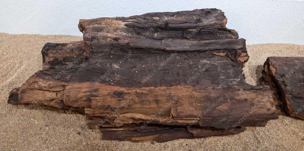 Kultúra - Miskolc - Új kiállítóhely - Pannon-tenger Múzeum