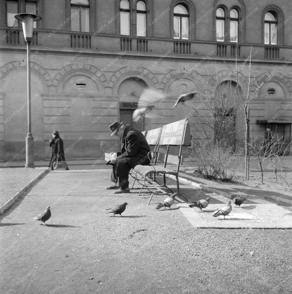 Életkép - Parkban olvasó férfi