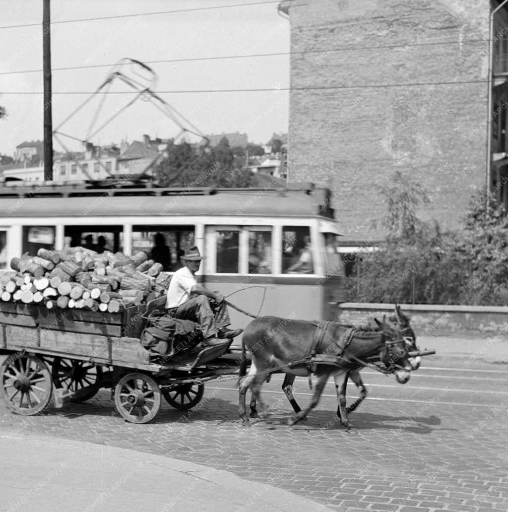 Városok - Pesti pillanatképek