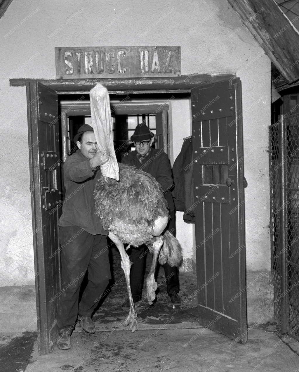 Állatvilág - Fővárosi Állat- és Növénykert