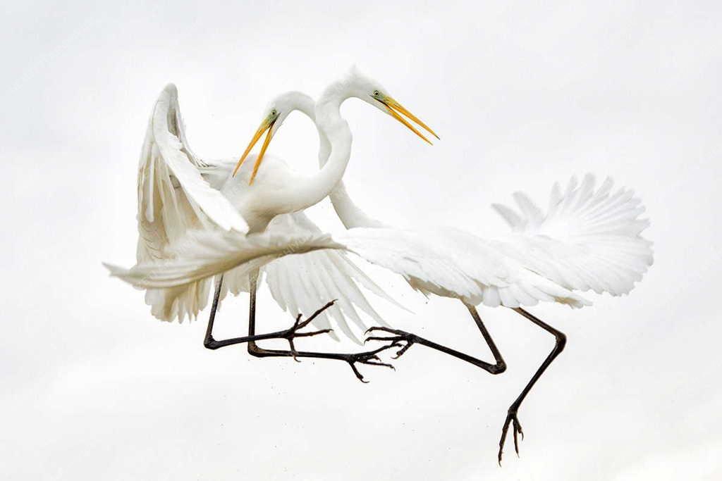 32. Magyar Sajtófotó Pályázat