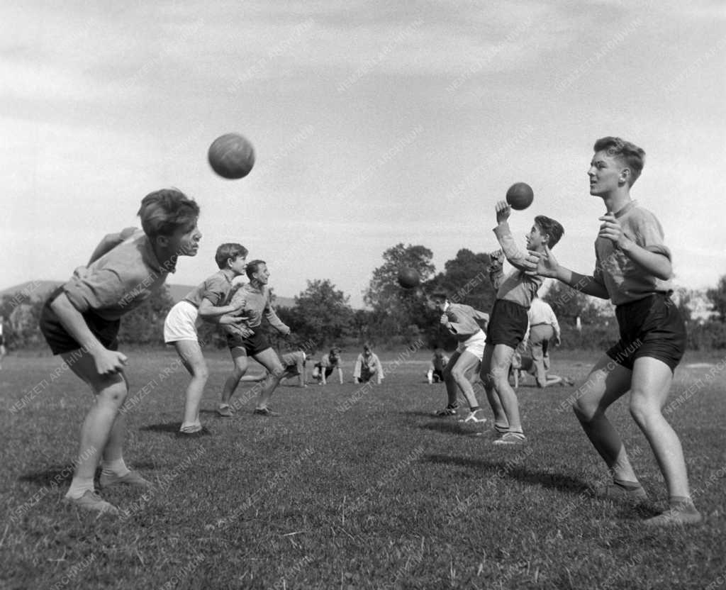 Sport - Oktatás - Pomázi II. Rákóczi Ferenc sportkör