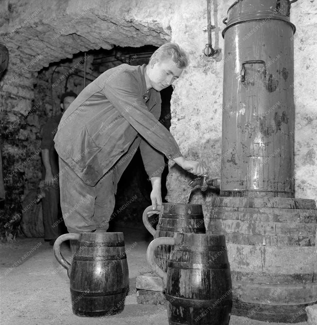 Élelmiszeripar - Borászat - Százhúsz éves borospince