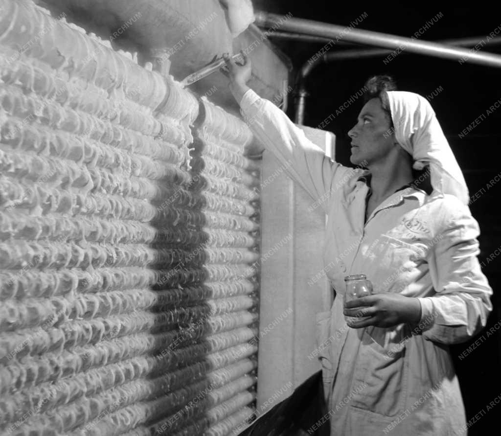 Élelmiszeripar - Tejipari Vállalat kelenföldi üzeme