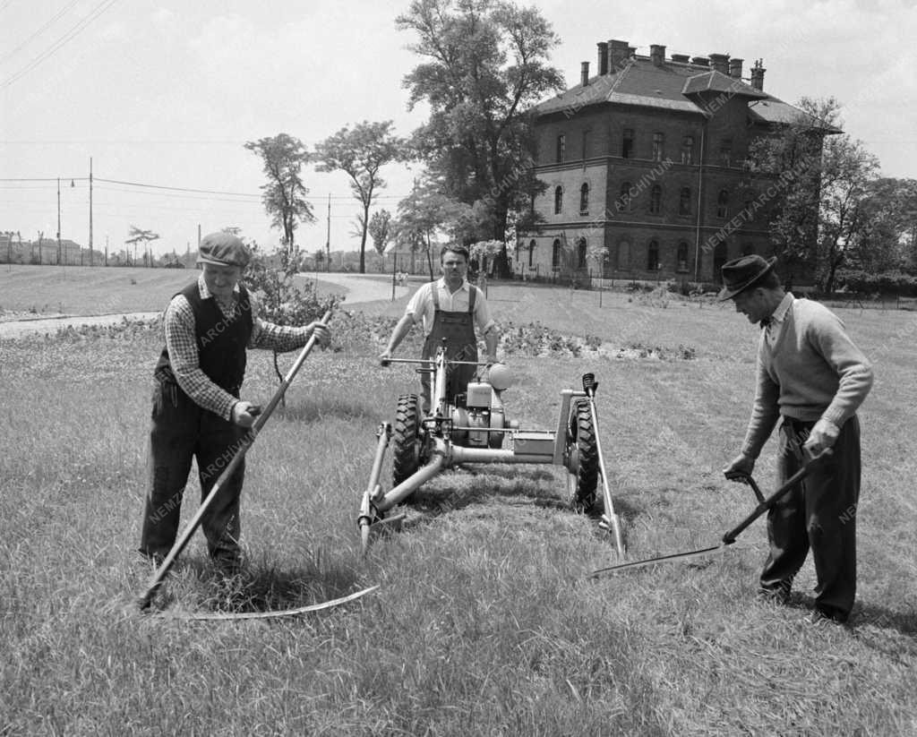 Településfejlesztés - Fővárosi Kertészeti Vállalat új fűnyírógépe