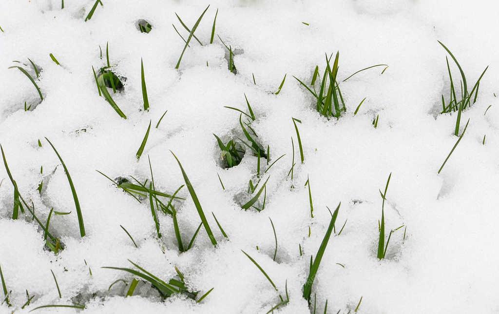 Időjárás - Nyíregyháza - Tavaszi olvadás