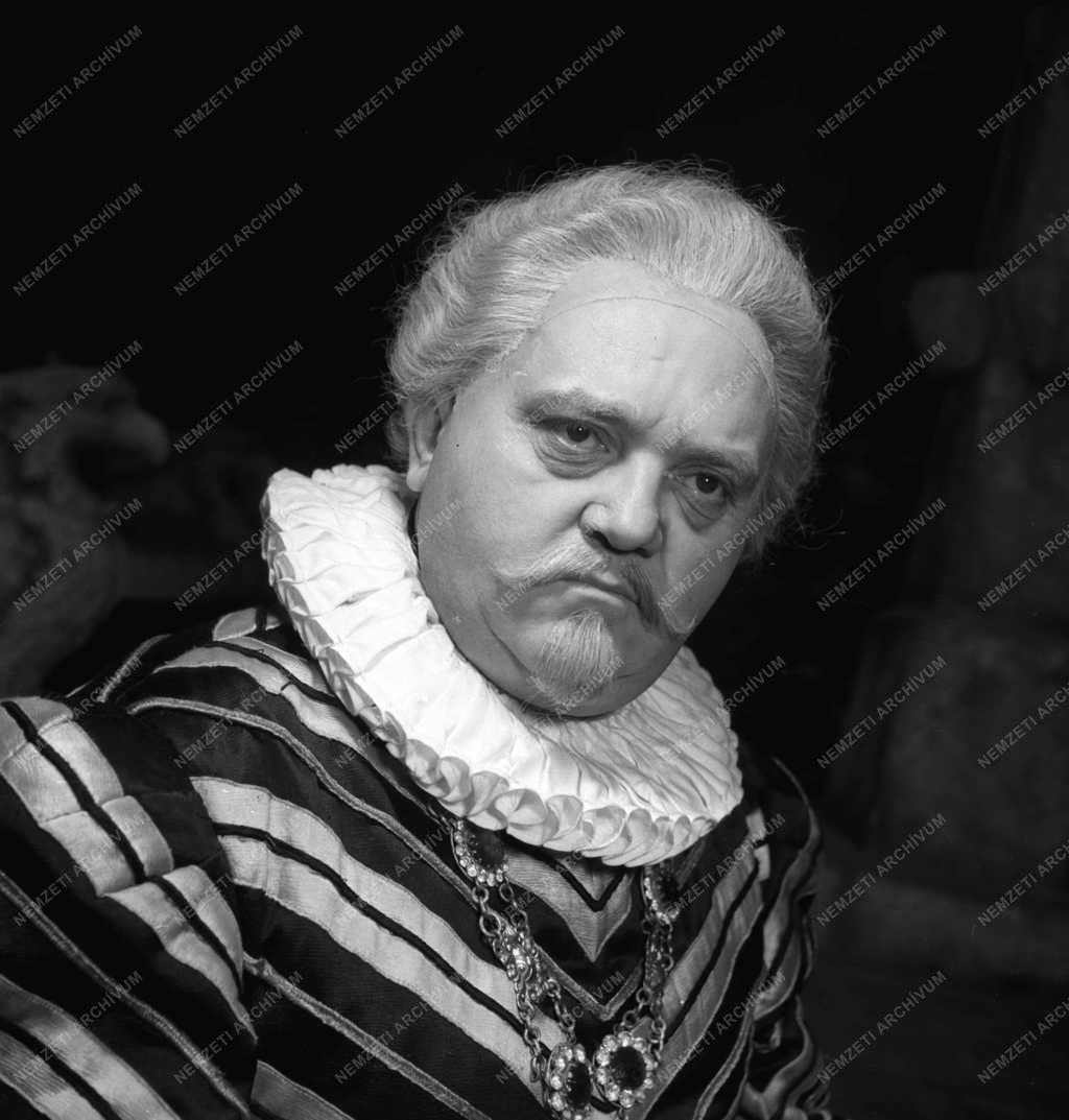 Színház - Sok hűhó semmiért - Katona József színház 