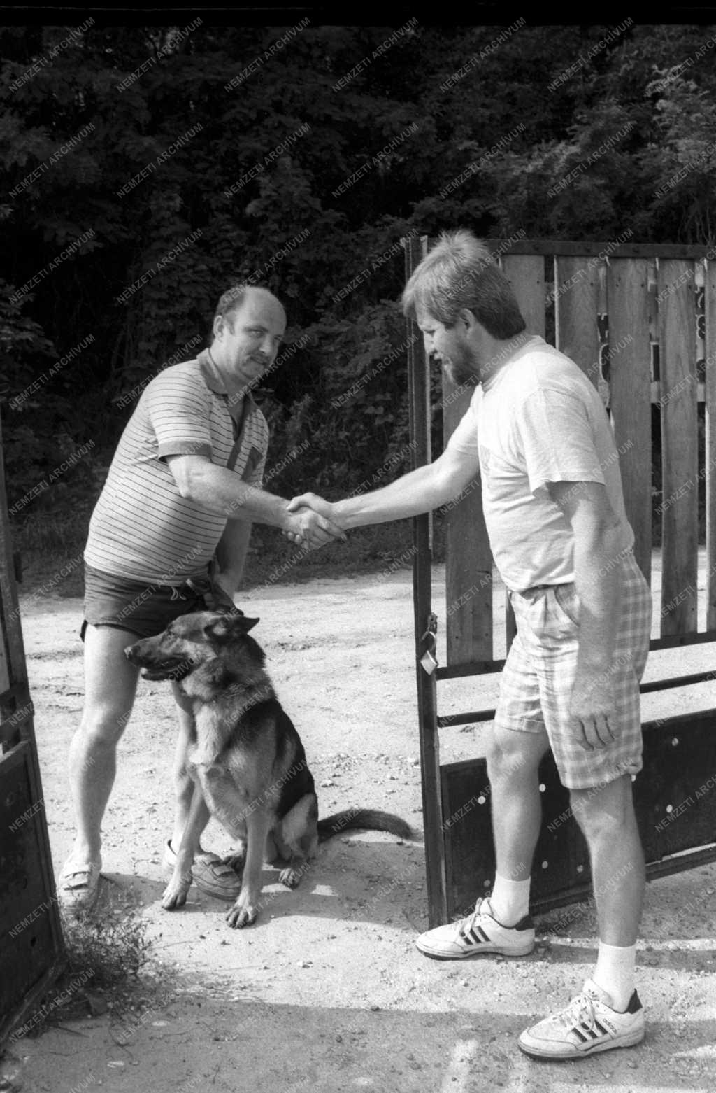 Szolgáltatás - Kutyapanzió Mogyoródon