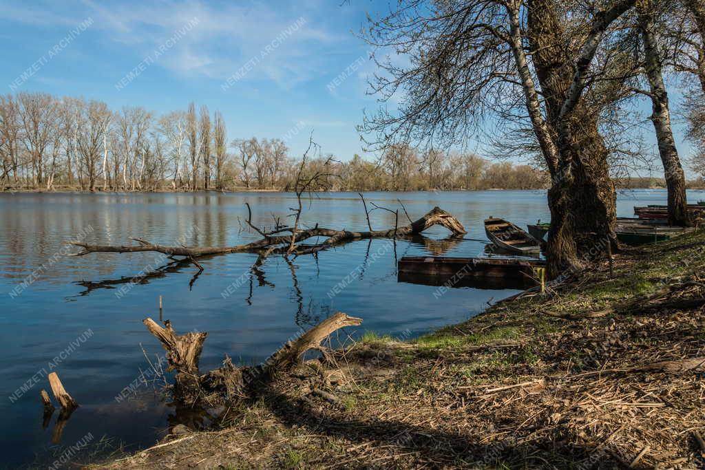 Tájkép - Tiszaalpár