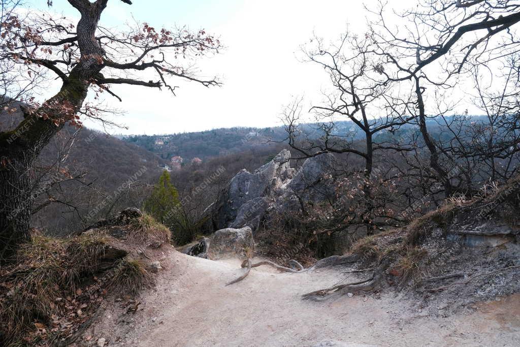 Természet - Tündér-szikla