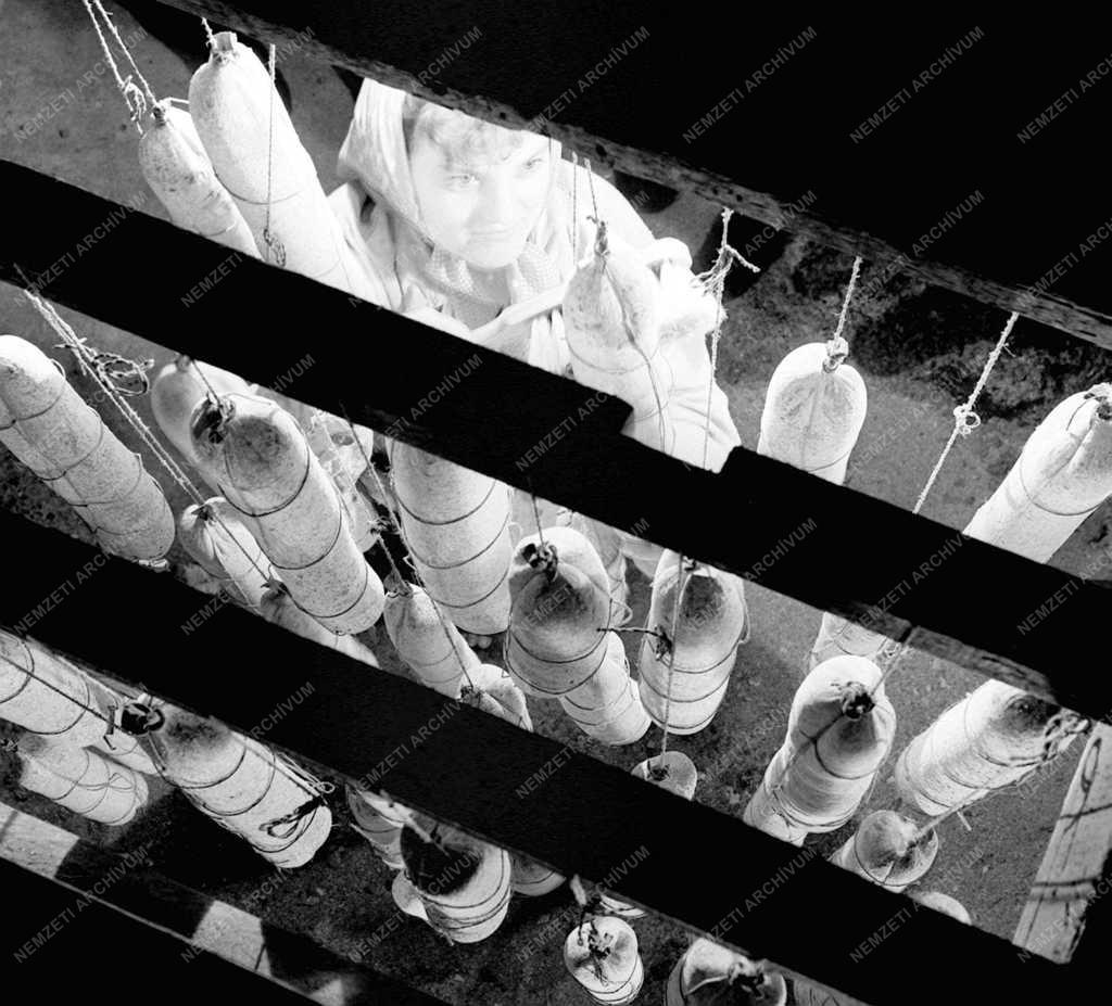 A szerző válogatása - Szegedi pillanatkép