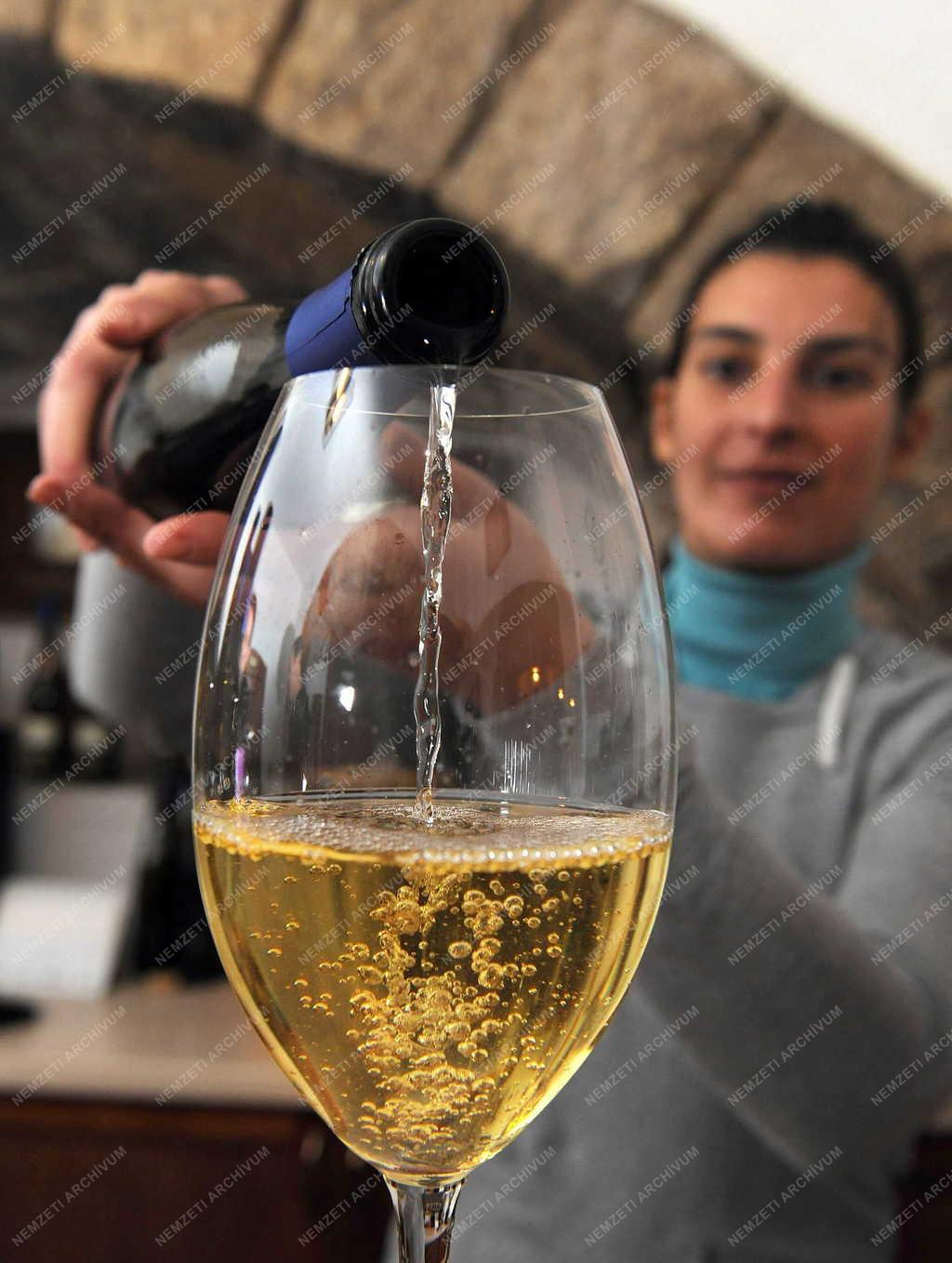 Borászat - Tokaj - A Paulay Borház borpincéje