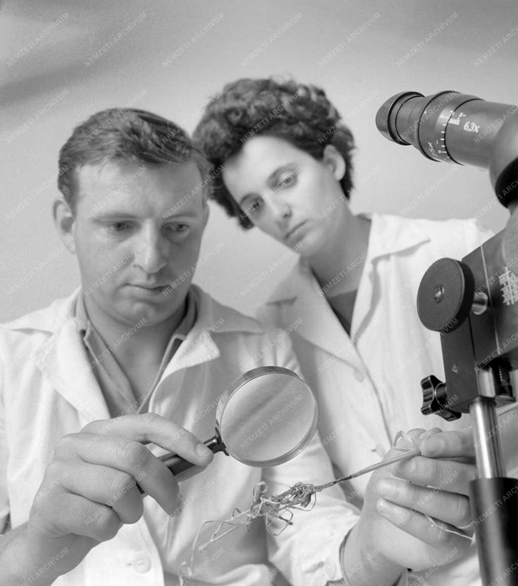 Mezőgazdaság - Somogy megyei Növényvédő Állomás