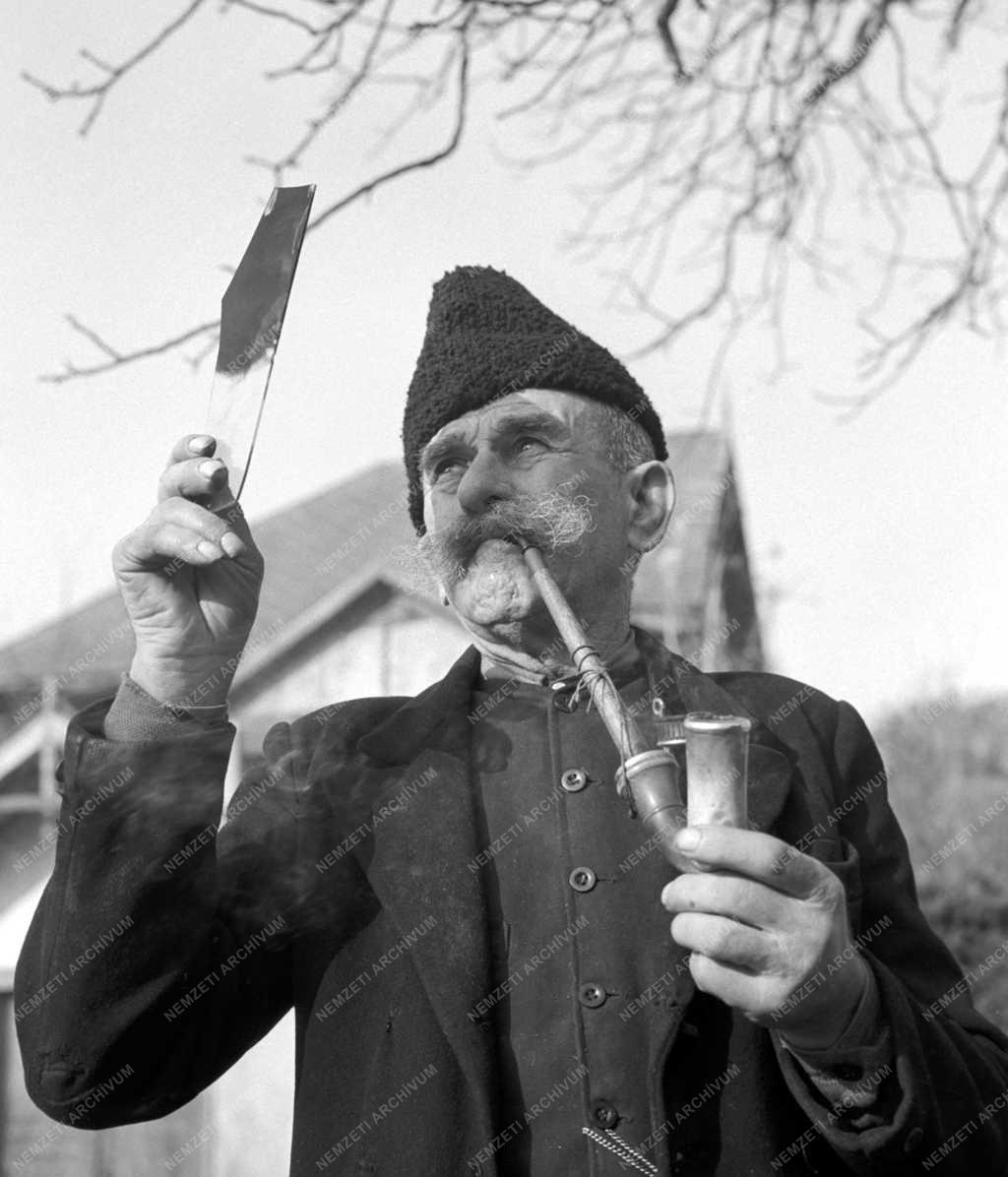 Életkép - Napfogyatkozás