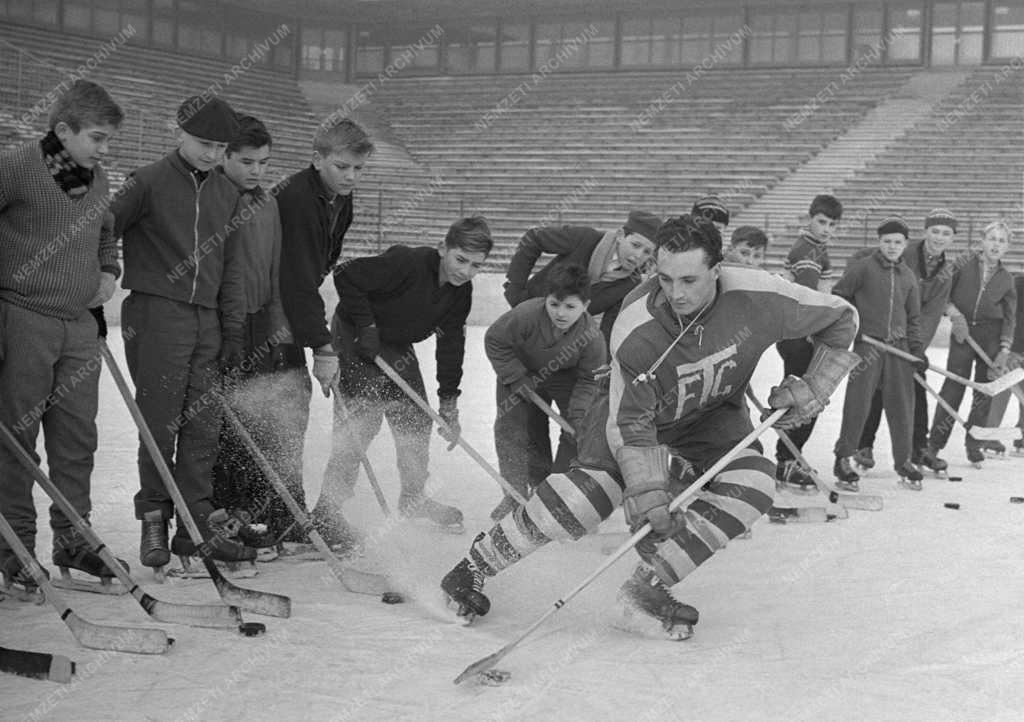 Sportoktatás - Jégkorong utánpótlás